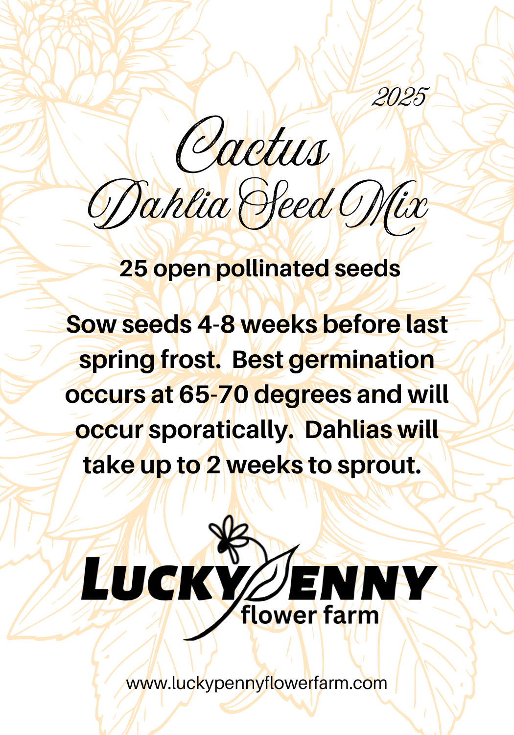 Cactus Dahlia Seed Mix