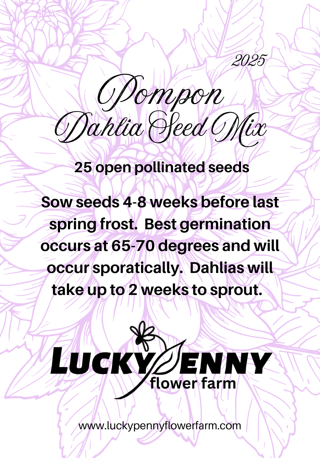 Pompon Dahlia Seed Mix