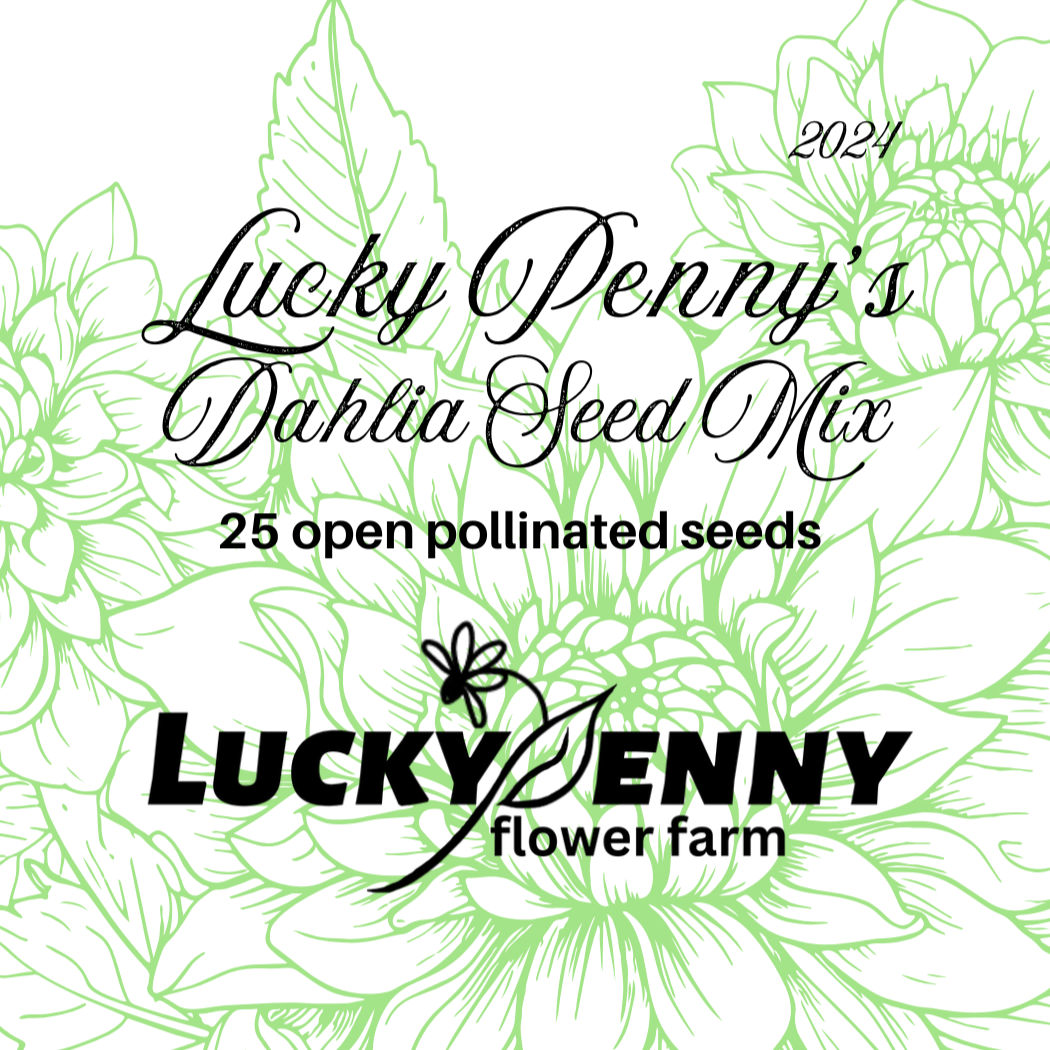 Lucky Penny's Dahlia Seed Mix