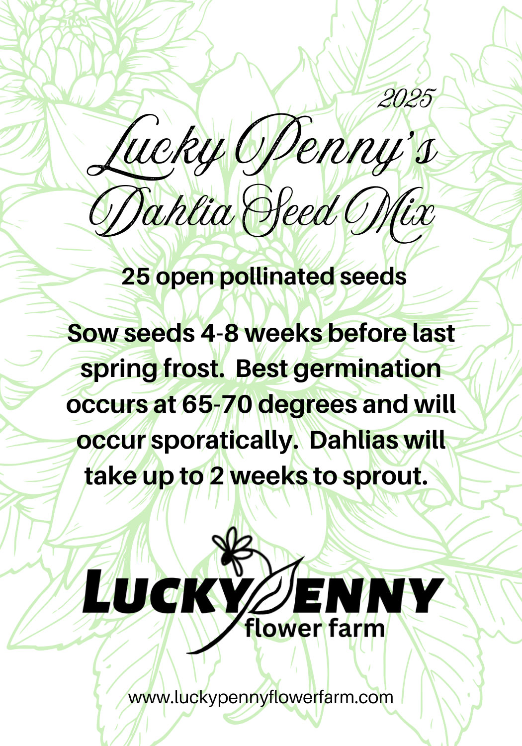 Lucky Penny's Dahlia Seed Mix