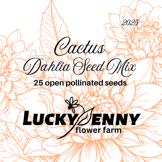 Cactus Dahlia Seed Mix